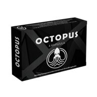 Octopus - 4 db