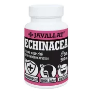 JAVALLAT Echinacea (Bíbor Kasvirág) kapszula 60 db