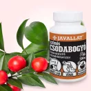 JAVALLAT Szúrós Csodabogyó kapszula 60 db 