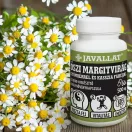 JAVALLAT Őszi margitvirág gyömbérrel és kasszia fahéjjal kapszula - 60db 