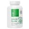 USA medical Ginkgo Biloba kapszula ginzeng kivonattal 60 db
