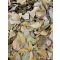 Paleolit Babérlevél egész 1kg Bay leaves whole (laurel)