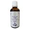Bálint Cseppek Echinacea csepp 50ml